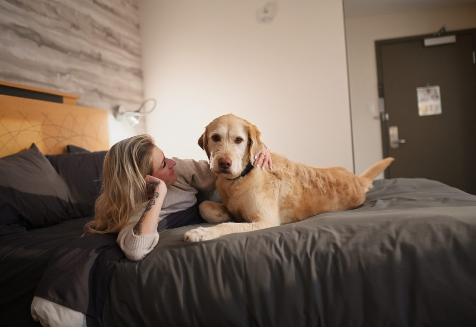 Chambre canine_1600x1100